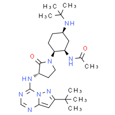 BMS-813160 - CAS