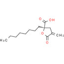 C75 FASN inhibitor