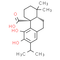 Carnosic Acid - CAS