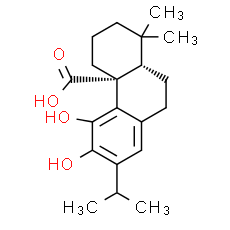 Carnosic Acid - CAS