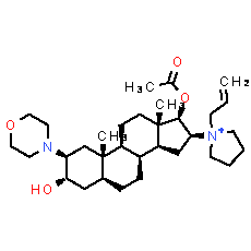 Rocuronium - CAS