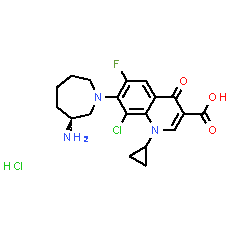 Besifloxacin Hydrochloride