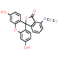 6-FITC - CAS