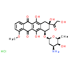 Doxorubicin Hydrochloride - CAS