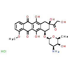 Doxorubicin Hydrochloride