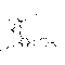 Mirodenafil - CAS# 862189-95-5