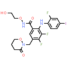 RO4987655