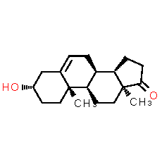 DHEA - CAS