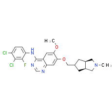 XL-647