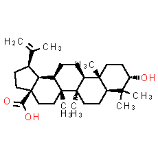Betulinic acid - CAS