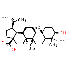 Betulinic acid