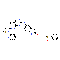 PF-562271 besylate - CAS# 939791-38-5