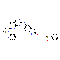 PF-562271 besylate