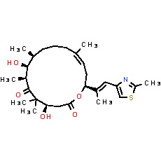 Epothilone D