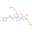 Ticagrelor