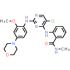 NVP-TAE 226