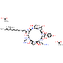 Caspofungin acetate