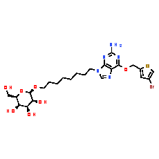 Glucose-conjugated MGMT inhibitor