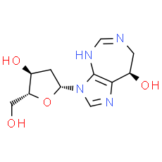 Pentostatin