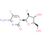 Fiacitabine