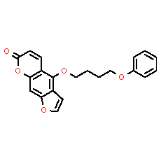 PAP-1