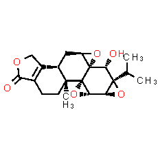 Triptolide - CAS