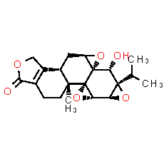 Triptolide