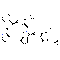 Telaprevir - CAS# 402957-28-2