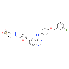 Lapatinib