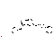 Eletriptan hydrobromide - CAS# 177834-92-3
