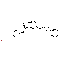 Eletriptan hydrobromide