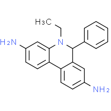 Dihydroethidium