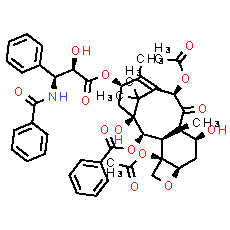 Paclitaxel - CAS
