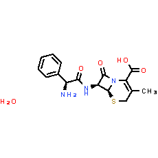 Cephalexin (monohydrate) - CAS