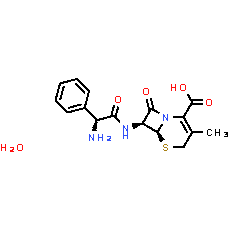 Cephalexin (monohydrate)