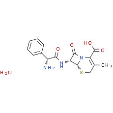 Cephalexin (monohydrate)
