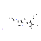 Bucladesine Sodium Salt