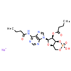 Bucladesine Sodium Salt - CAS