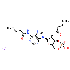 Bucladesine Sodium Salt