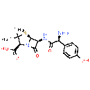 Amoxicillin | CAS