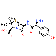 Amoxicillin | CAS