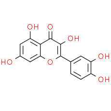 Quercetin - CAS