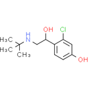 HOKU-81