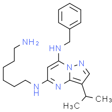 BS-181