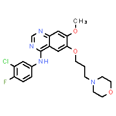 Gefitinib - CAS
