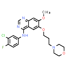 Gefitinib