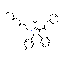 Atorvastatin - CAS# 134523-00-5