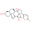 Pseudobufarenogin