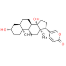 Bufalin - CAS