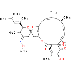 Moxidectin